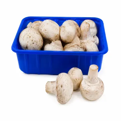 Mushroom (காளான்)