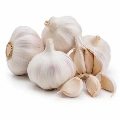 Garlic ( பூண்டு)
