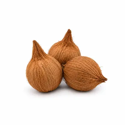 Coconut (தேங்காய்)