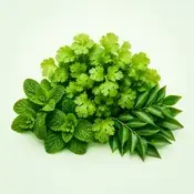 Fresh Greens