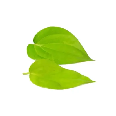 Beetle leaf (வெற்றிலை)