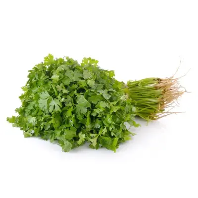 Coriander Leaves (கொத்தமல்லி)