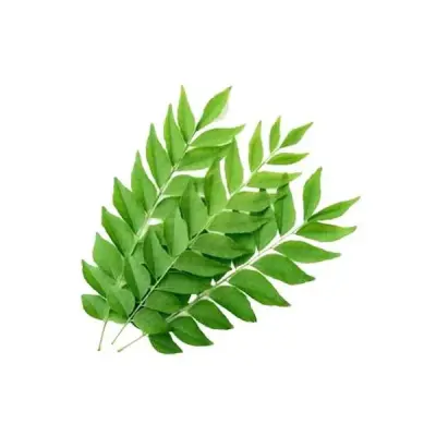 Curry Leaves (கறிவேப்பிலை)- Small Bunch