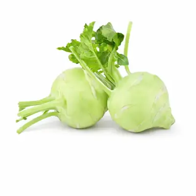 Knol Khol (நூல்கோல்)