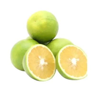 Mosambi (சாத்துக்குடி)