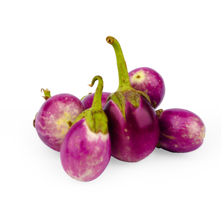 Tholan - Brinjal