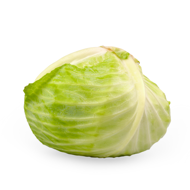 Tholan - Cabbage