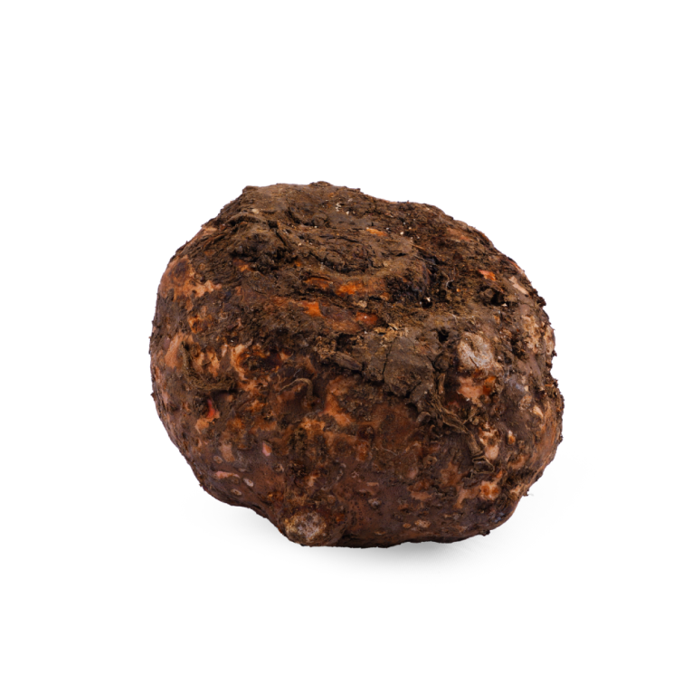 Tholan - Elephant Foot Yam