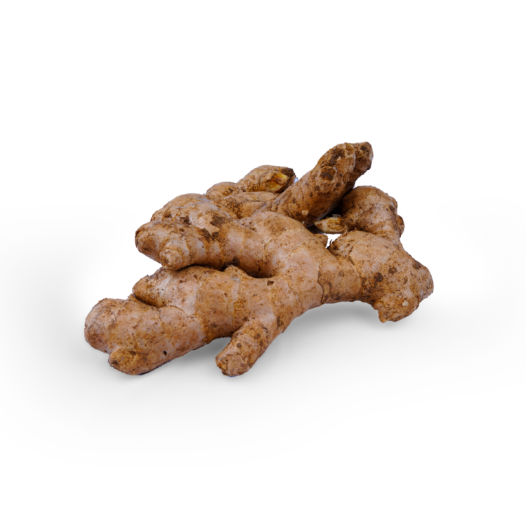 Tholan - Ginger